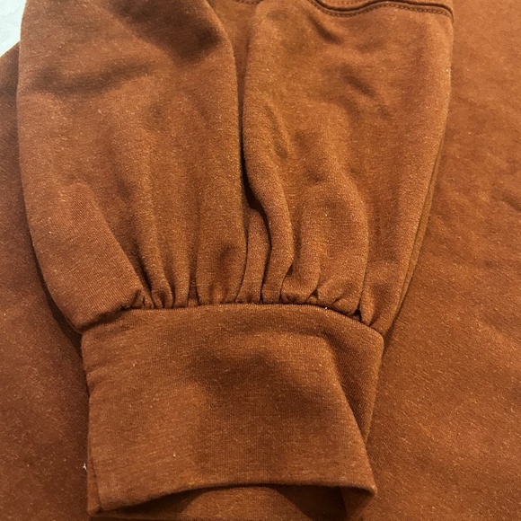 Tiger Rhinestoned Sweatshirt - Picture 8 of 8